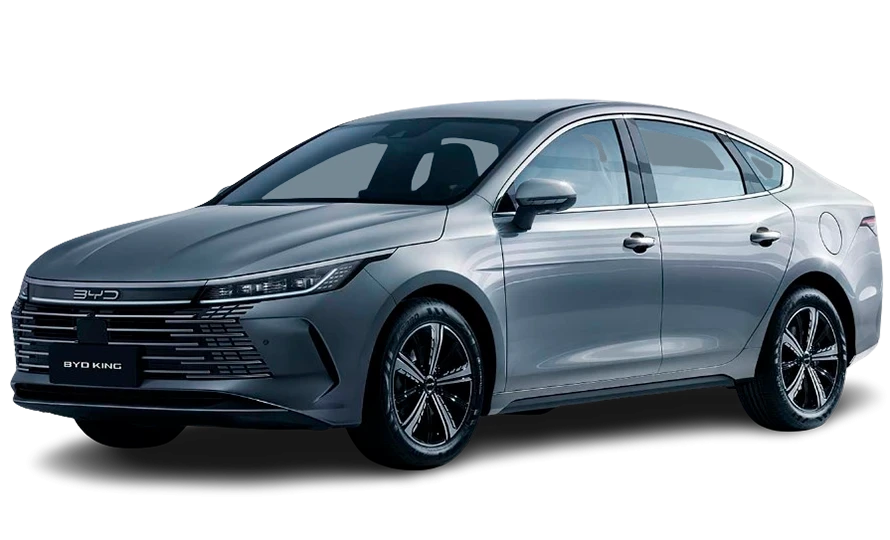 BYD KING