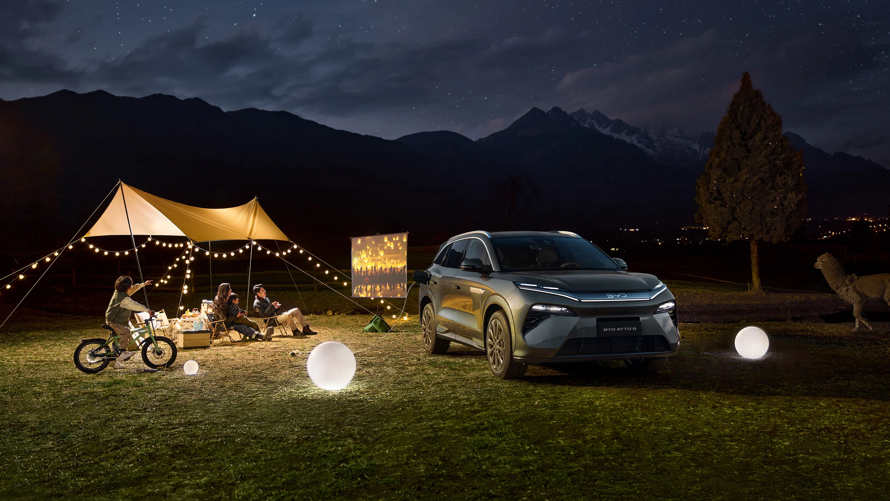 Foto BYD - BYD ATTO 8